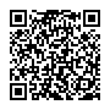 QR code for ROR869