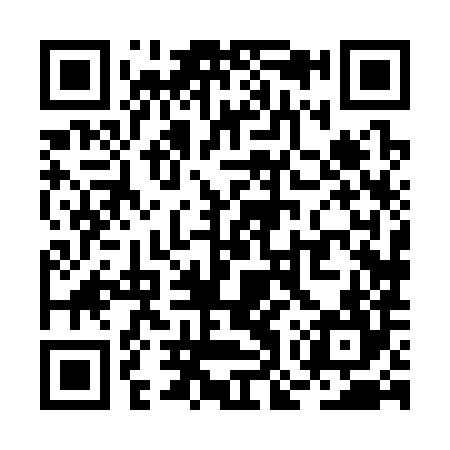 QR code for ROX384