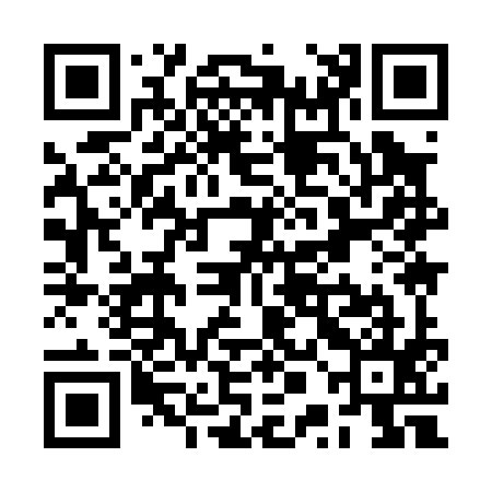 QR code for RPI095