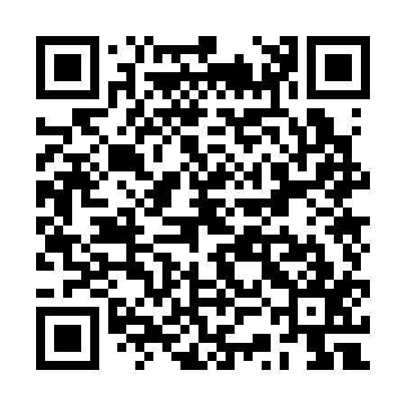 QR code for RSO317