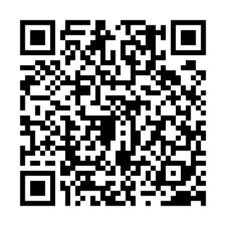 QR code for RUI5596