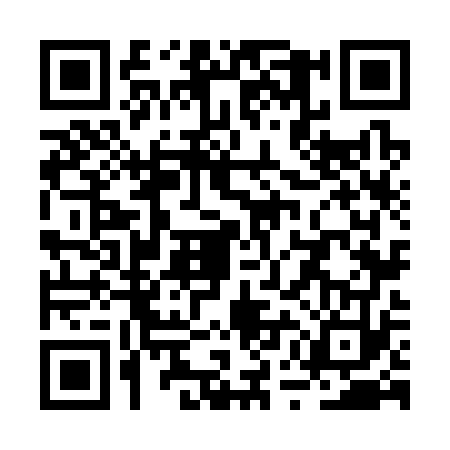 QR code for RUN3739