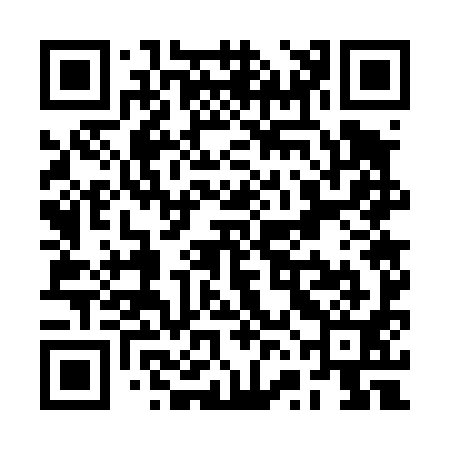 QR code for RVG491