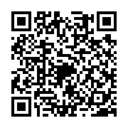 QR code for RXR6383