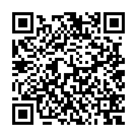 QR code for RYG0294