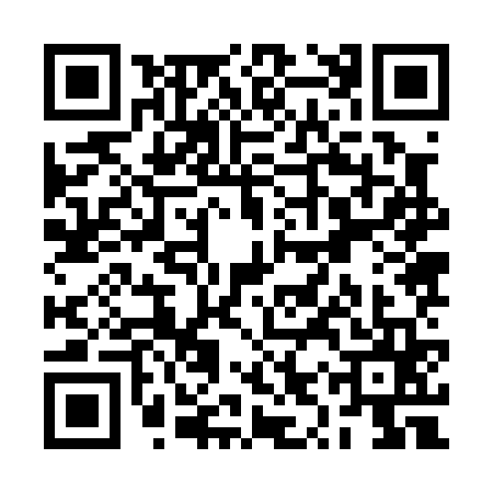 QR code for RYZ0651