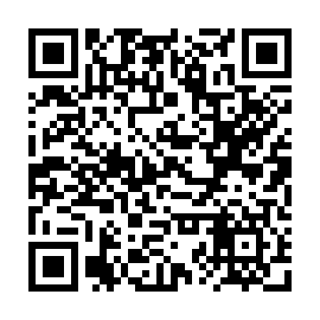 QR code for RZP307