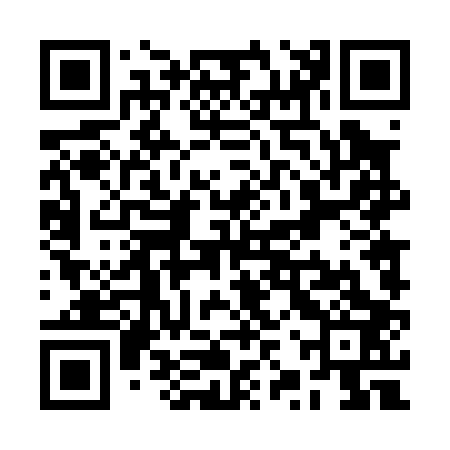 QR code for RZT003