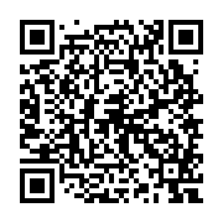 QR code for RZZ385