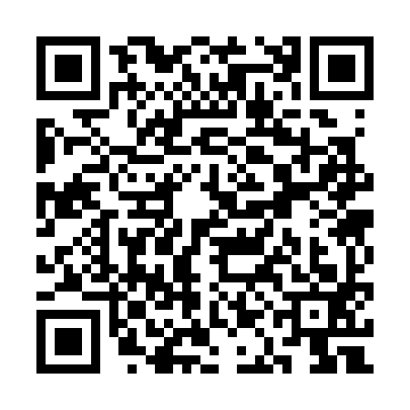 QR code for SAC3938