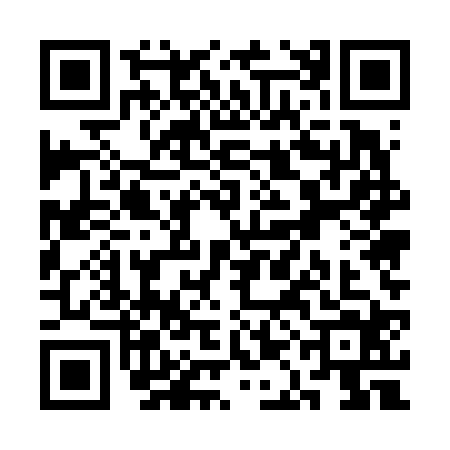 QR code for SAE6247