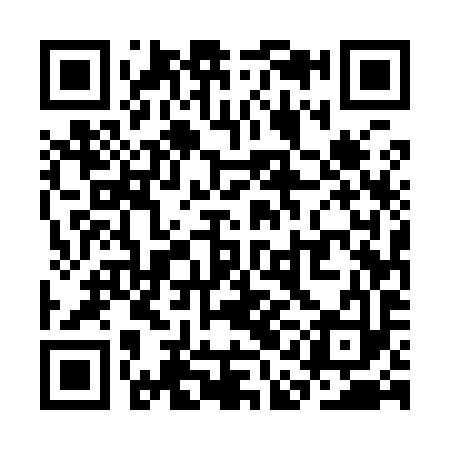 QR code for SAE993