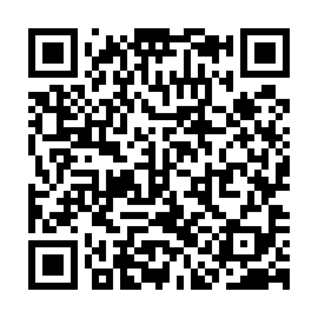 QR code for SAO599
