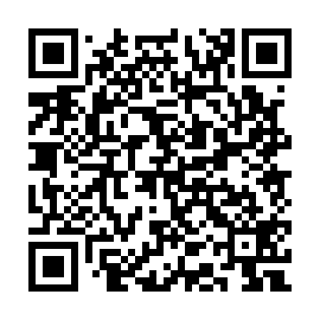 QR code for SAP119