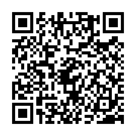 QR code for SAS4335