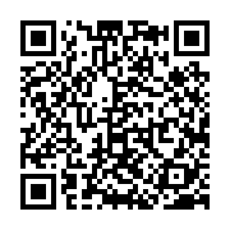 QR code for SAT228