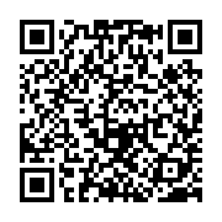 QR code for SAW289