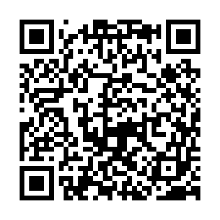 QR code for SAY253