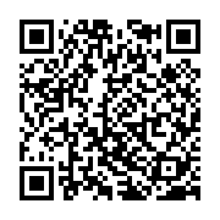 QR code for SDG029