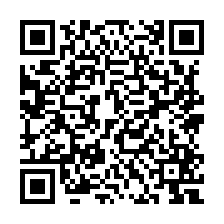 QR code for SDI9453