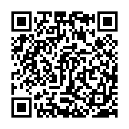 QR code for SDP013
