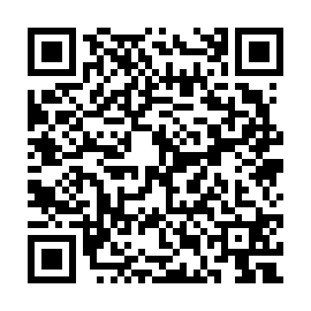 QR code for SEA6203