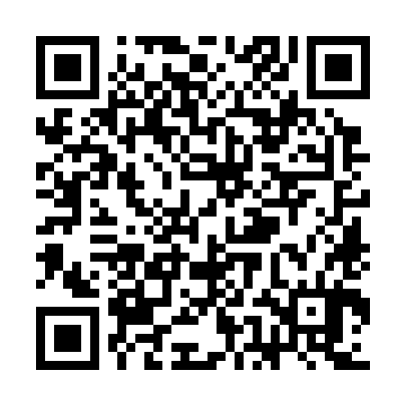 QR code for SEO384