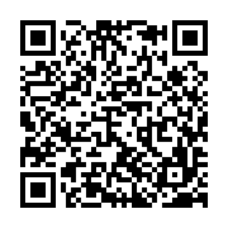 QR code for SFM196