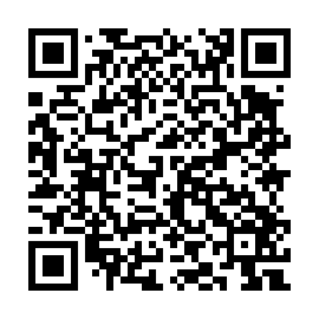 QR code for SII446
