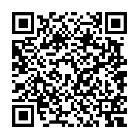QR code for SIN4117