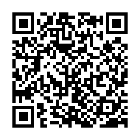 QR code for SIN528