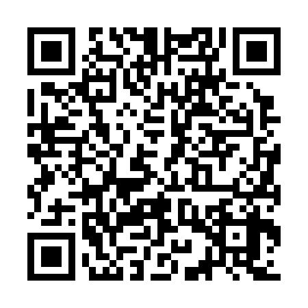 QR code for SIV3382