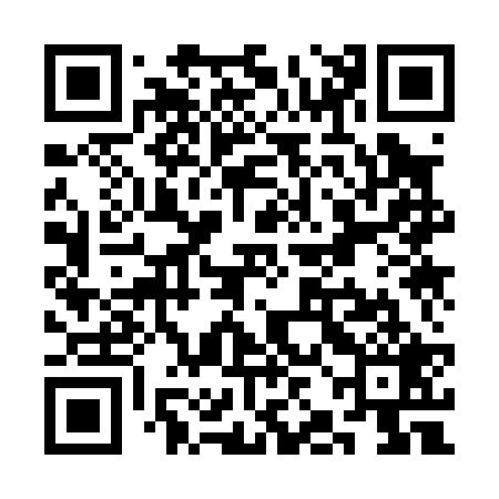 QR code for SJK029