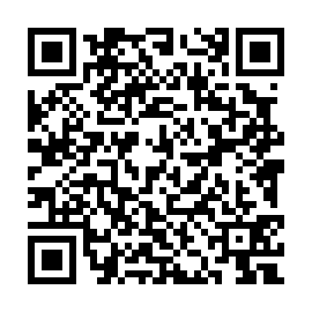QR code for SJL0313