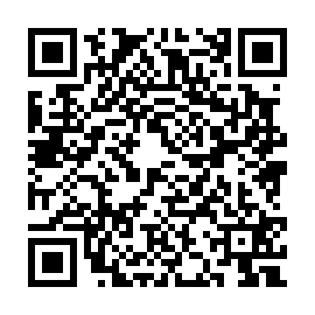 QR code for SJX0217
