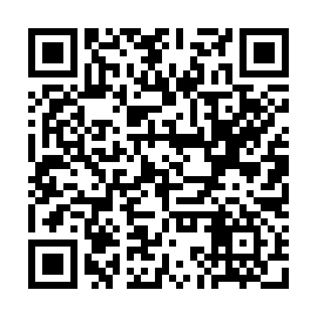 QR code for SKT397