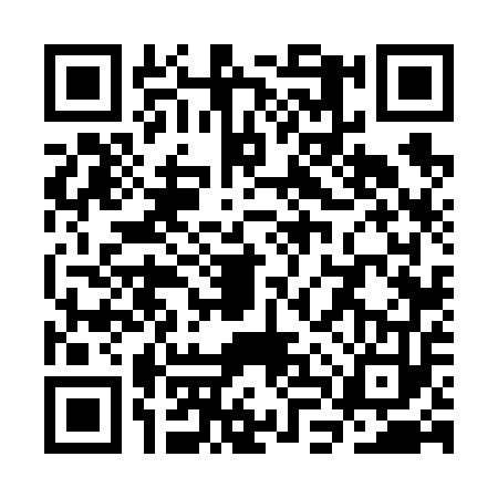 QR code for SLV6536