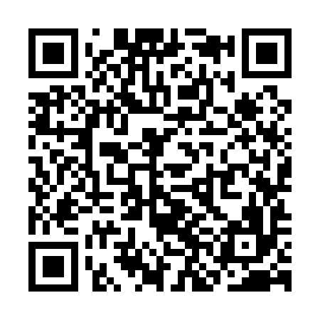 QR code for SNK196