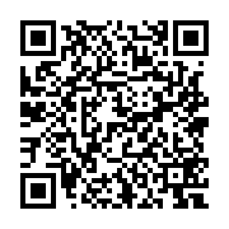 QR code for SOM1595