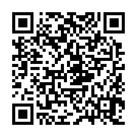 QR code for SPN384
