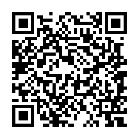 QR code for SPT0955