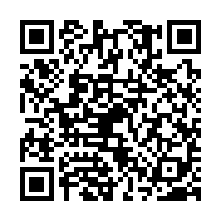 QR code for SPY3993
