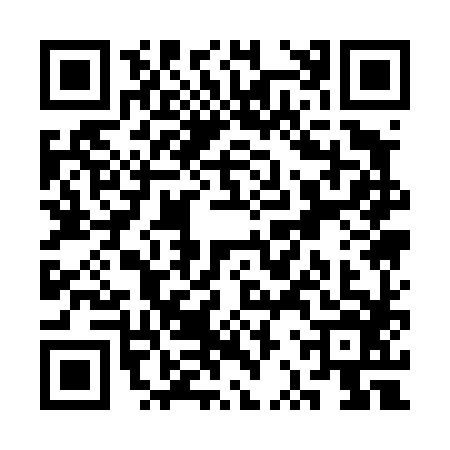 QR code for SRQ4863