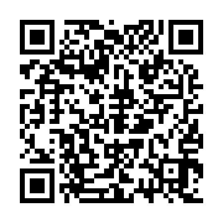 QR code for SSF913