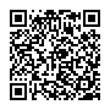QR code for STN295