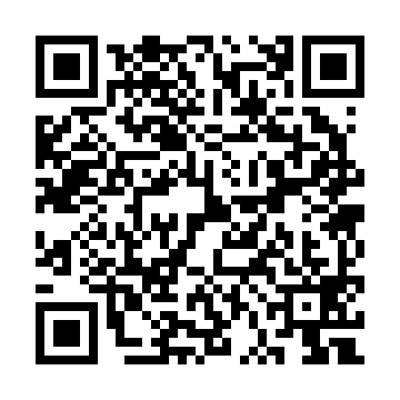 QR code for SVC2993
