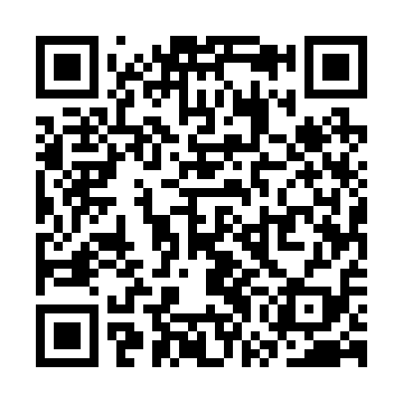 QR code for SWE219