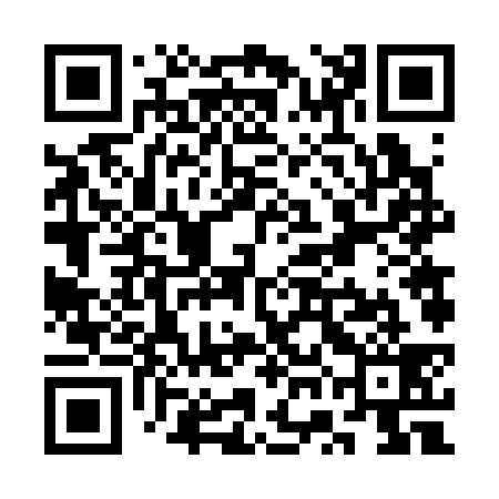 QR code for SWF339
