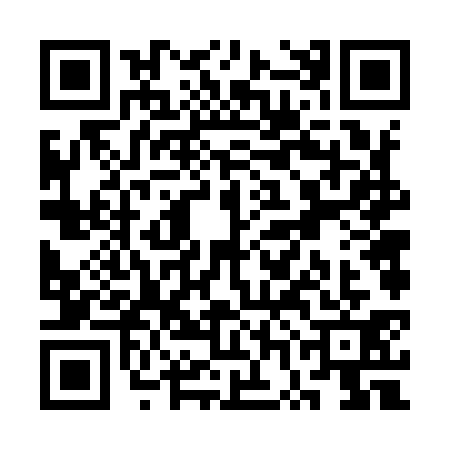 QR code for SWF9313