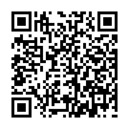 QR code for SYO6397